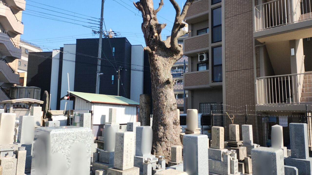 花川墓地（西淀川区）