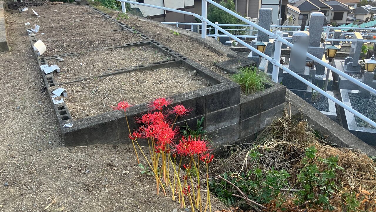 楠葉墓地（枚方市）