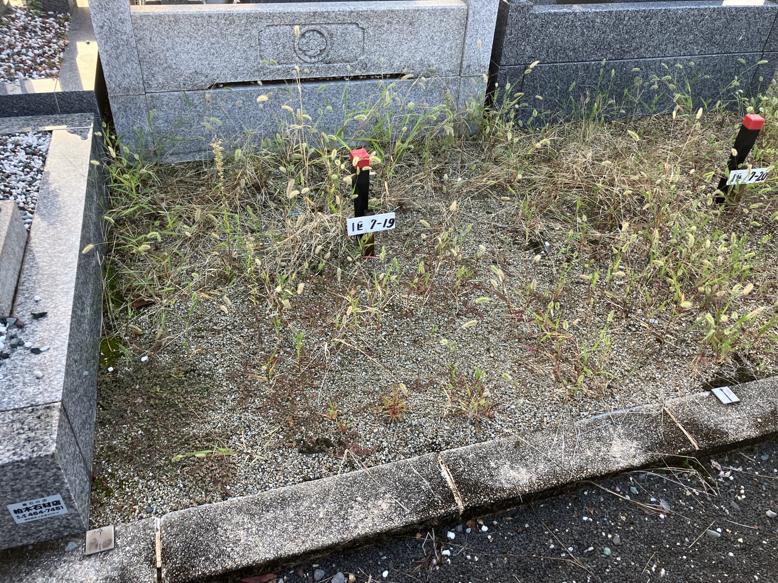 令和7年　泉佐野公園墓地　募集区画