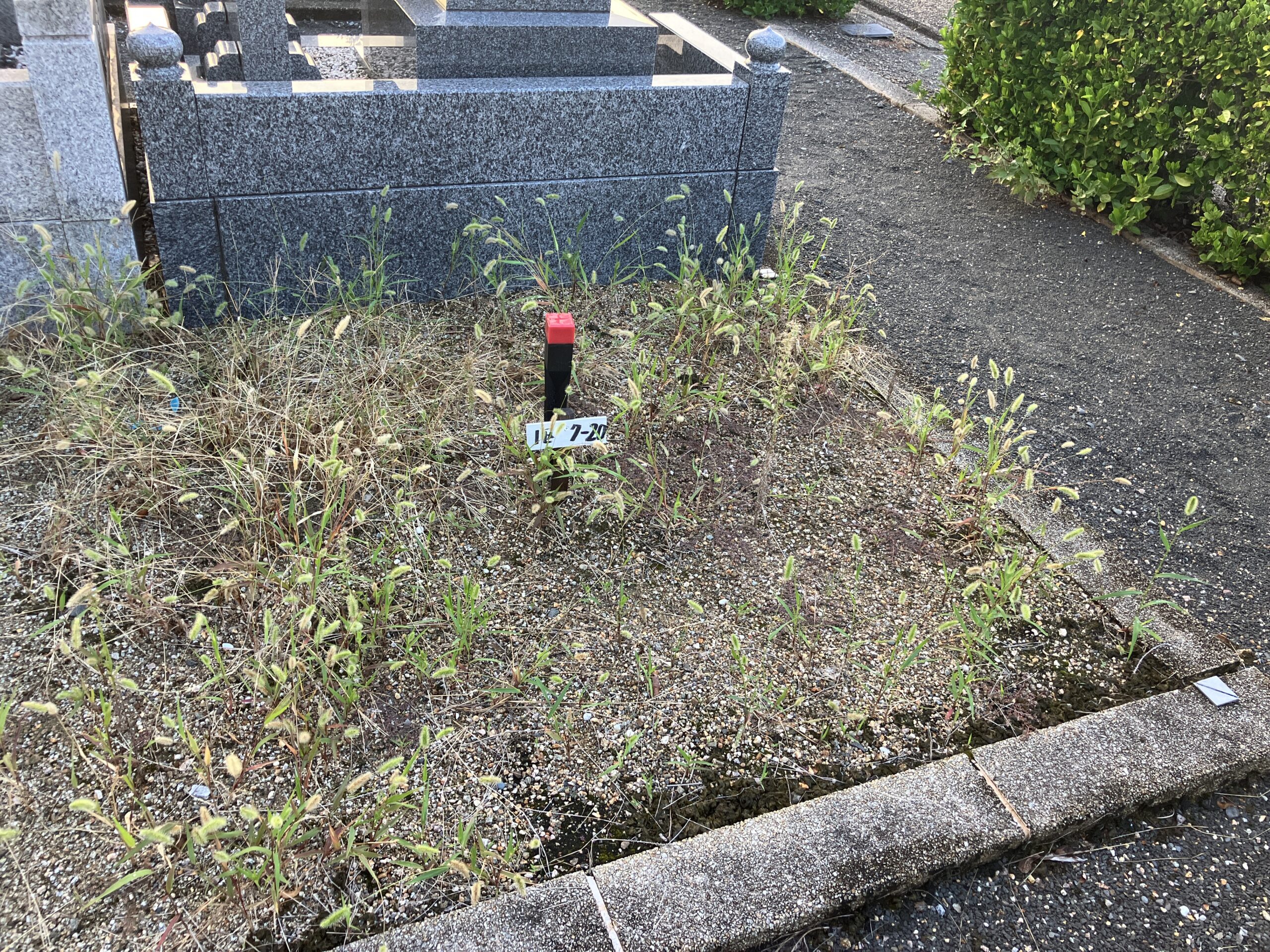 令和7年　泉佐野公園墓地　募集区画