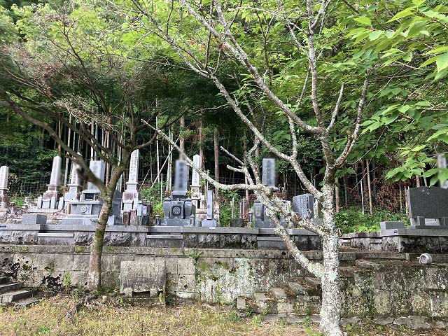 田原町お堂墓地（加西市）のお墓
