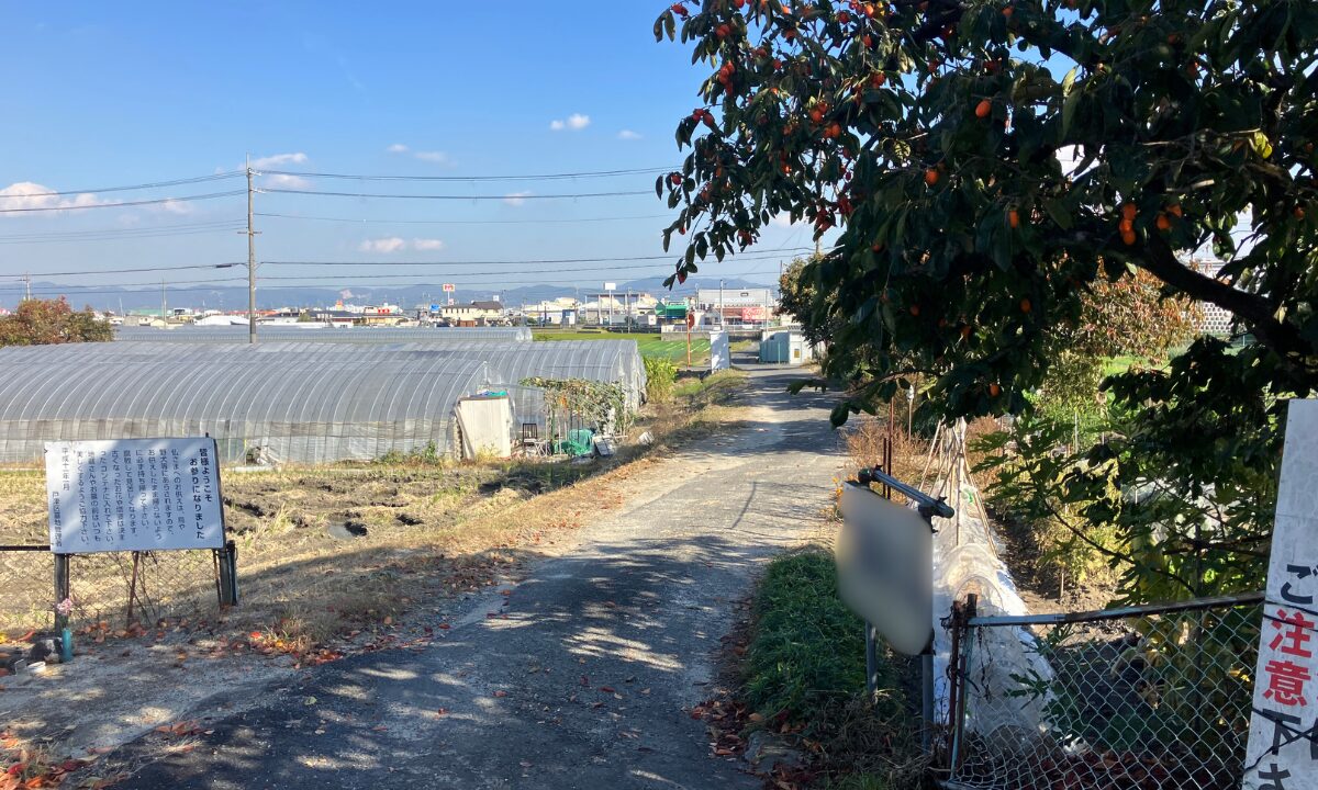 戸津区墓地（八幡市）