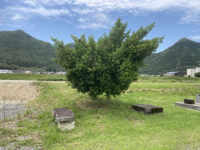 上戸田墓地（西脇市）のお墓