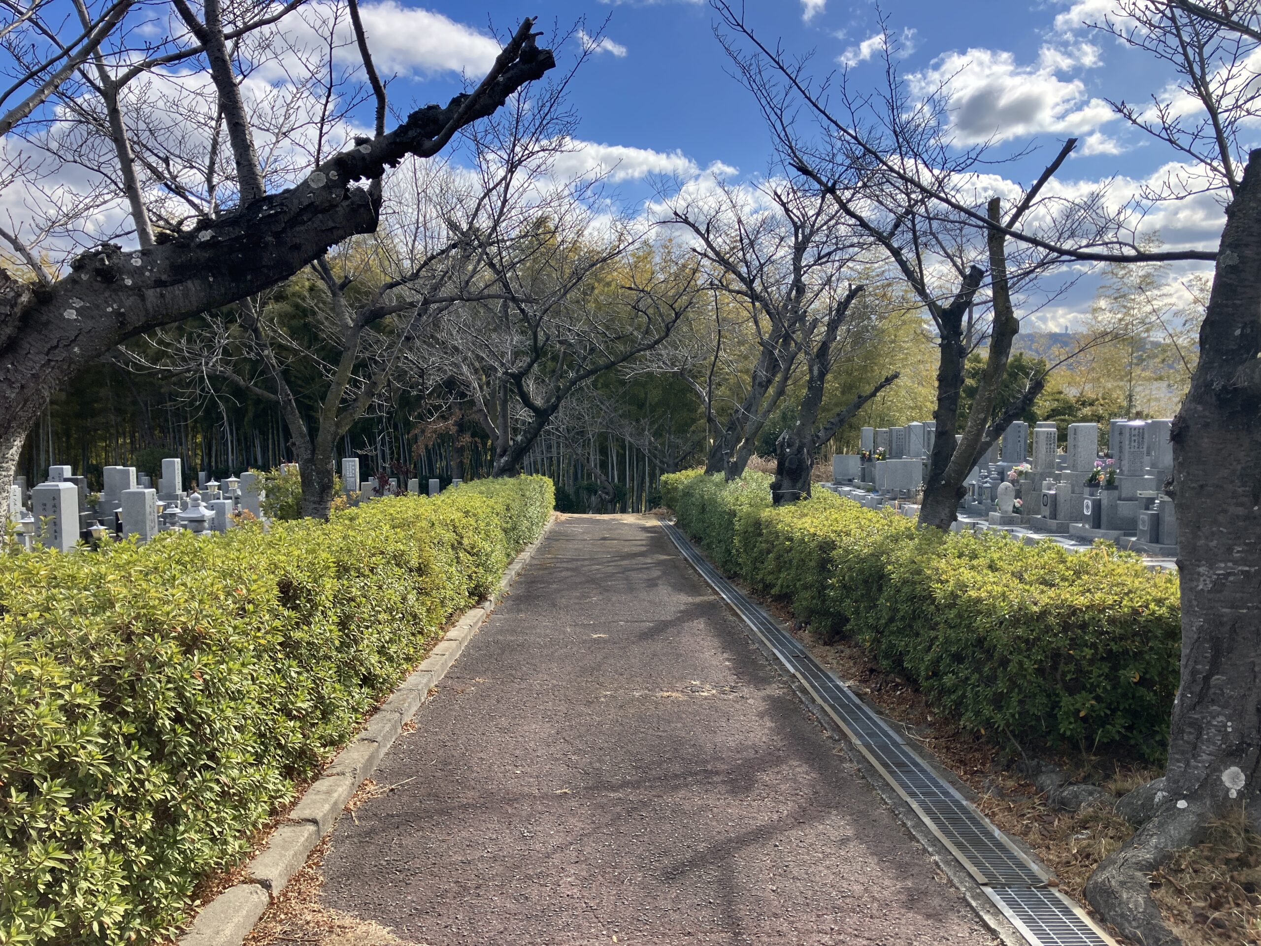 寝屋川市公園墓地　戒名彫刻