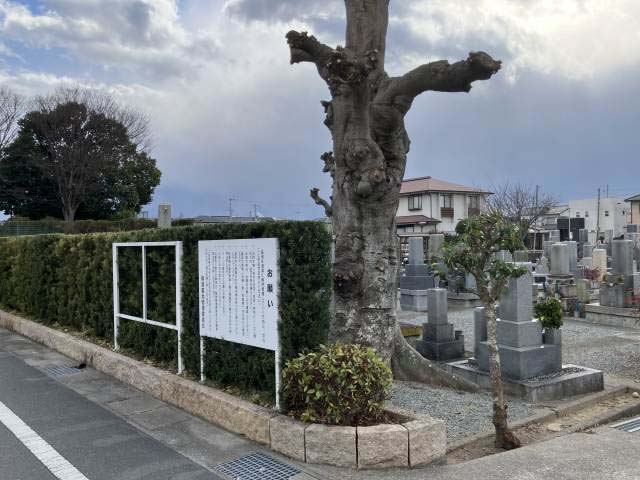 興濵墓地（姫路市）のお墓