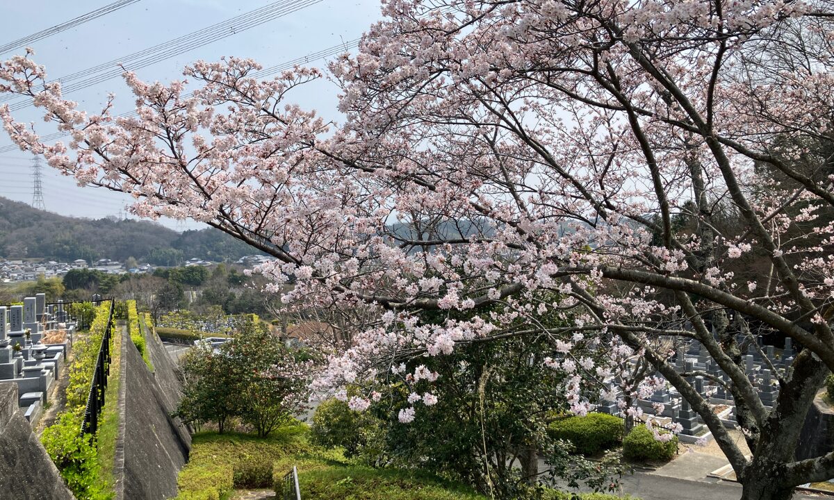 飯盛霊園（四条畷市）納骨式　戒名彫刻