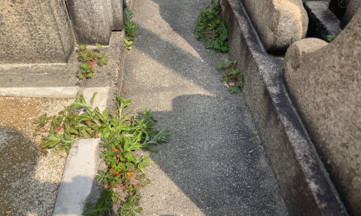 今福墓地(大阪市城東区)お墓の建立に伴う開眼式 大阪石材工業