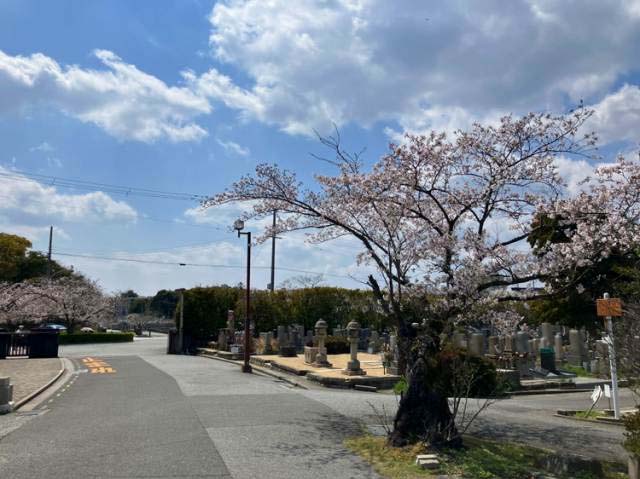 満池谷墓地（西宮市）のお墓