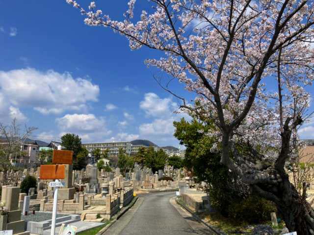 満池谷墓地（西宮市）のお墓