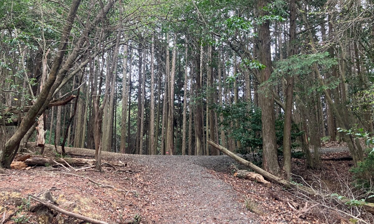 原共同墓地（高槻市）お墓じまいのご相談　大阪石材高槻店