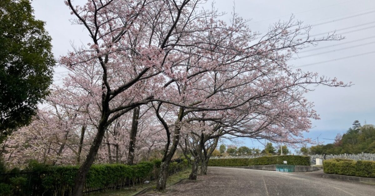 長尾山霊園(宝塚市)お墓じまい 大阪石材神戸店