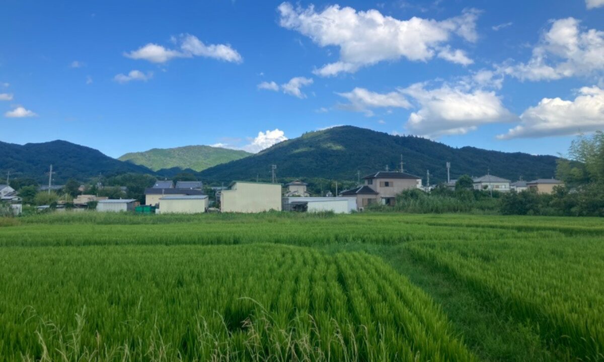 芝・箸中墓地(桜井市)墓地の申し込み 大阪石材